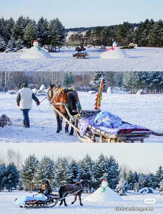 漠河｜这里可能看不到极光，但一定有最美的冬日