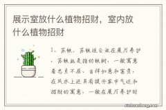 展示室放什么植物招财，室内放什么植物招财