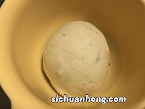 披萨预拌粉什么牌子好