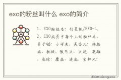 exo的粉丝叫什么 exo的简介