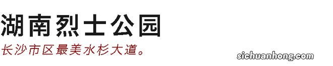 邂逅冬日浪漫！开福水杉打卡攻略→