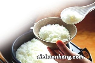 米饭都能什么米一起煮