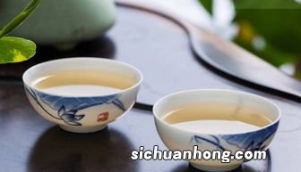 白茶什么泡茶