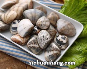 白水煮七彩贝多久