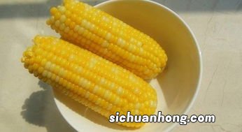 白色玉米多久能煮熟