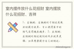 室内摆件放什么花招财 室内摆放什么花招财、吉祥