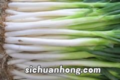 吃什么食物会加速衰老？6种饮食加速女人衰老