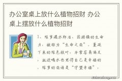 办公室桌上放什么植物招财 办公桌上摆放什么植物招财