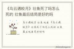 《乌云遇皎月》壮鱼死了吗怎么死的 壮鱼最后结局是好的吗