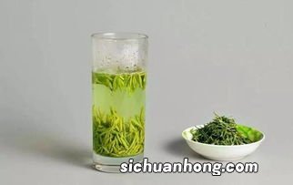 泡绿茶 用什么杯