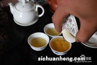 潮州功夫茶泡什么茶