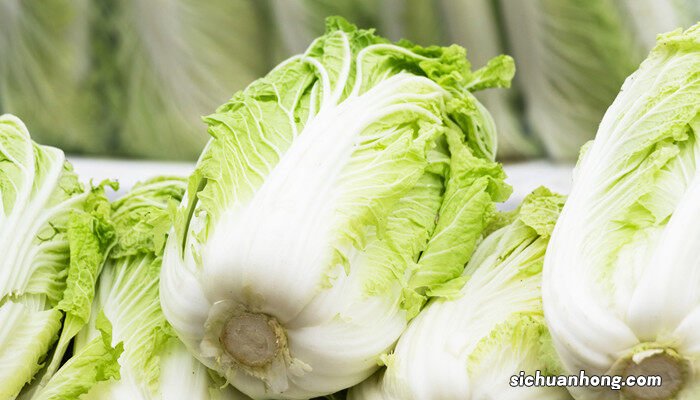 大白菜十一月份可以种吗视频 大白菜十一月份可以种吗