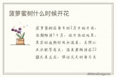 菠萝蜜树什么时候开花