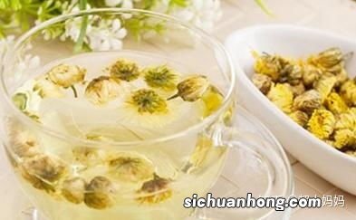 莉花茶适合什么季节喝