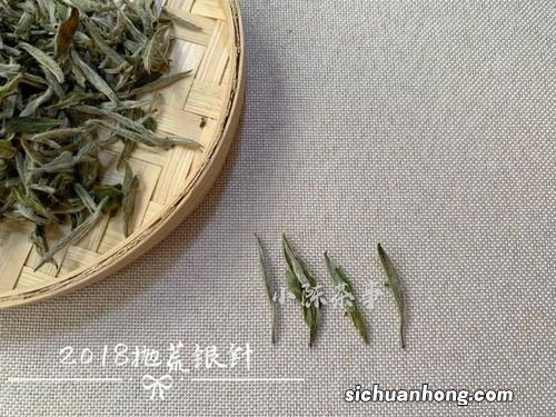 什么季节的白茶耐泡