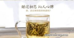 什么季节的白茶耐泡