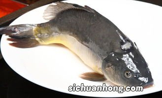 裸斑鱼有什么营养价值