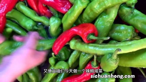 油辣椒怎么腌制方法大全