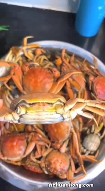 油黄蟹怎么留