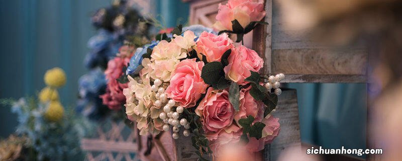 玫瑰花的花语是什么? 玫瑰花的花语是什么