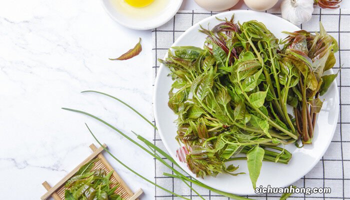红油香椿树种植技术 香椿树种植技术