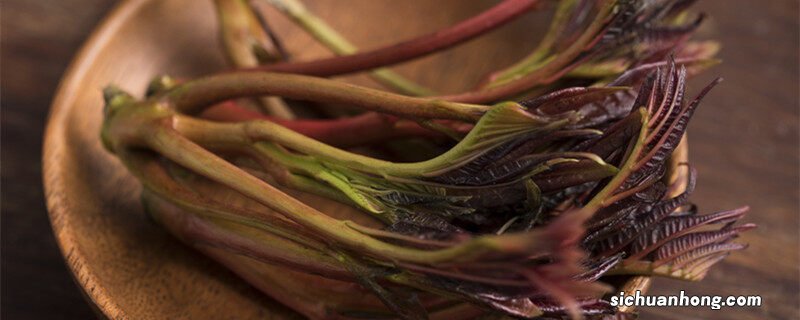 红油香椿树种植技术 香椿树种植技术