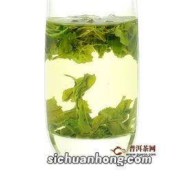 各种绿茶都是什么季节采摘