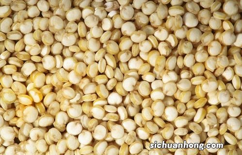 藜麦吃多了有什么坏处