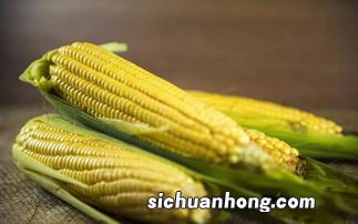 老玉米什么人不宜