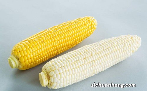 老玉米什么人不宜