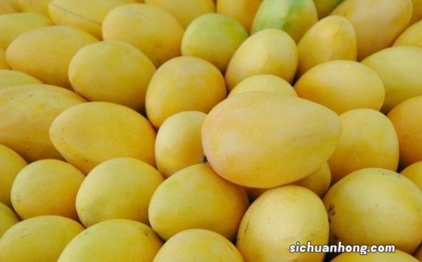 经常吃芒果有什么功效?芒果能治疗什么疾病?