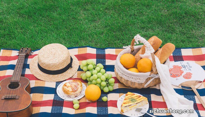 葡萄是哪种藤本植物攀爬方式 葡萄是哪种藤本植物