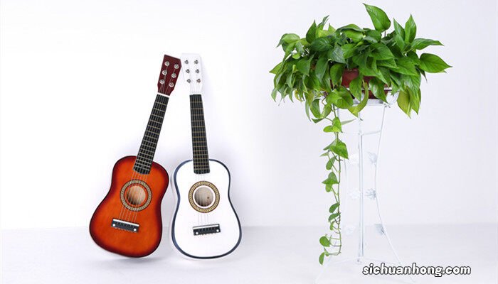 绿萝黄叶是什么原因怎么处理视频 绿萝黄叶是什么原因怎么处理