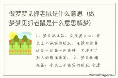 做梦梦见抓老鼠是什么意思解梦 做梦梦见抓老鼠是什么意思