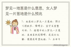 梦见一地葱是什么意思，女人梦见一片葱地是什么预兆