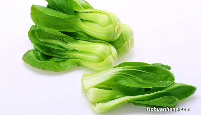 苏州青冬天可以种吗? 苏州青冬天可以种吗