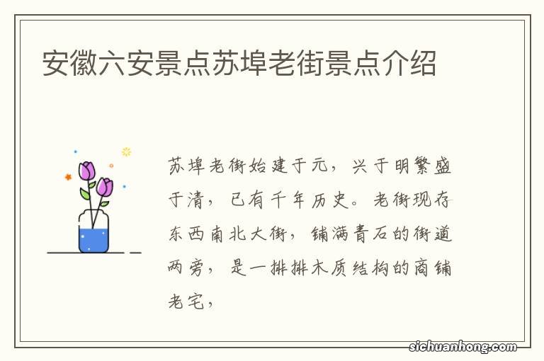 安徽六安景点苏埠老街景点介绍