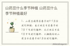 山药豆什么季节种植 山药豆什么季节种植最好