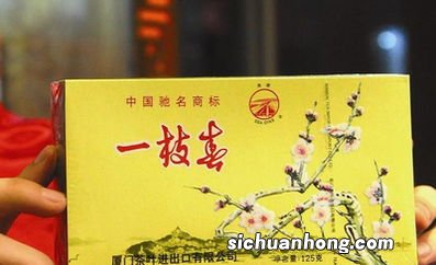 厦门一枝春是什么茶