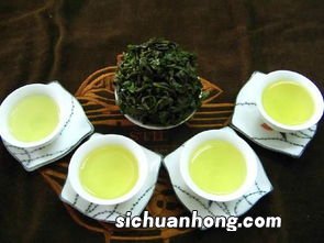 铁观音什么壶泡好喝