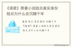 《请君》原著小说陆炎真实身份 陆炎为什么会沉睡千年