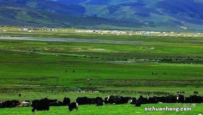 巴塘,这个藏在甘孜州西部的小城,究竟还有多少惊喜