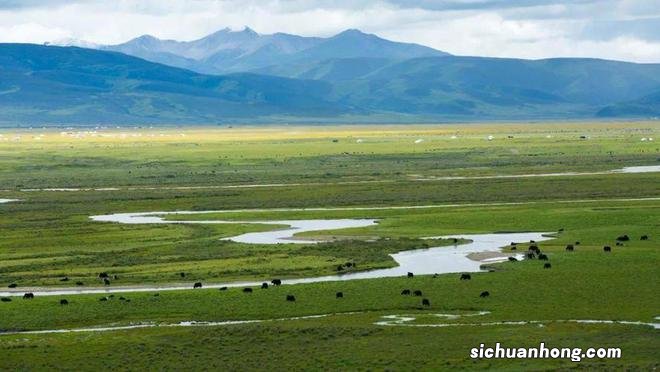巴塘,这个藏在甘孜州西部的小城,究竟还有多少惊喜