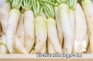 做萝卜饺子怎么做好吃法