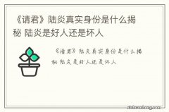 《请君》陆炎真实身份是什么揭秘 陆炎是好人还是坏人