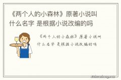 《两个人的小森林》原著小说叫什么名字 是根据小说改编的吗