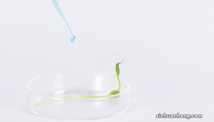 植物防冻液真的有用吗 植物防冻液配方与制作