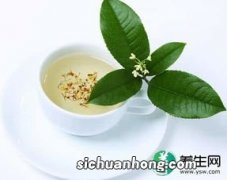 什么花茶疏肝解郁