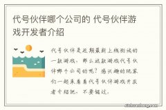 代号伙伴哪个公司的 代号伙伴游戏开发者介绍