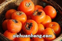 女性吃什么有助于怀孕?提高女性生育力的饮食建议有哪些